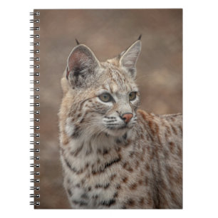 Cuaderno Retrato de una Bobcat