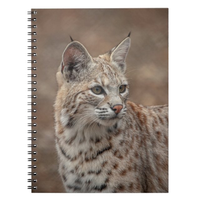 Cuaderno Retrato de una Bobcat (Frente)