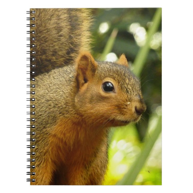 Cuaderno Retrato de una fotografía animal de la naturaleza  (Frente)