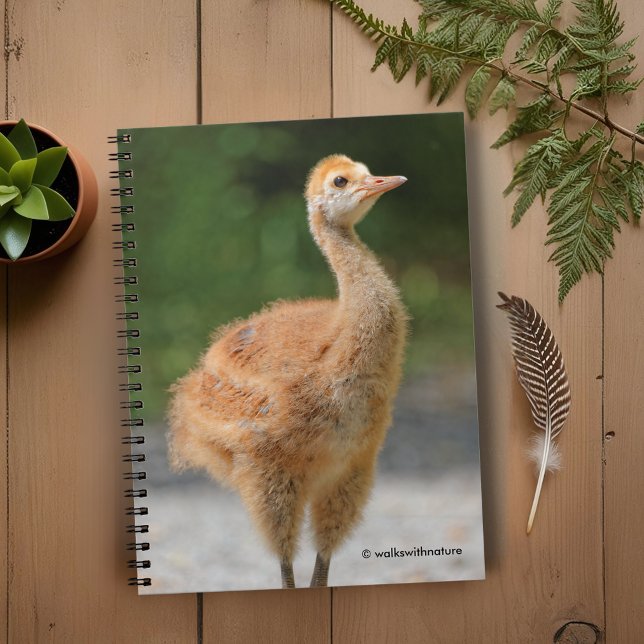 Cuaderno Retrato de una grapa de arena (Portrait of a Sandhill Crane Colt Journal Cover Photo)