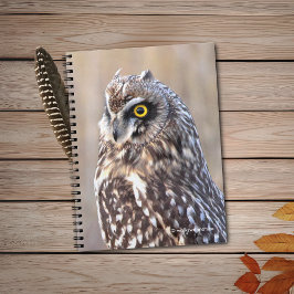 Cuaderno Retrato de una lechuza de corta edad