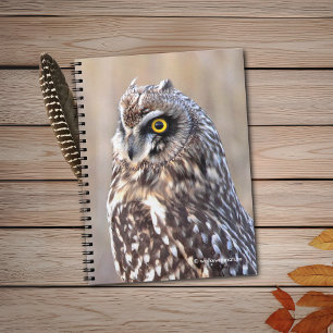 Cuaderno Retrato de una lechuza de corta edad