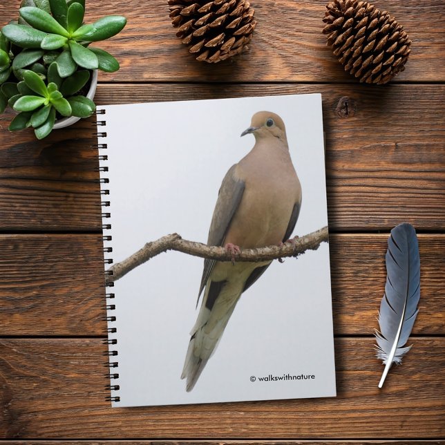 Cuaderno Retrato de una paloma de luto (Portrait of a Mourning Dove Journal Cover Photo)