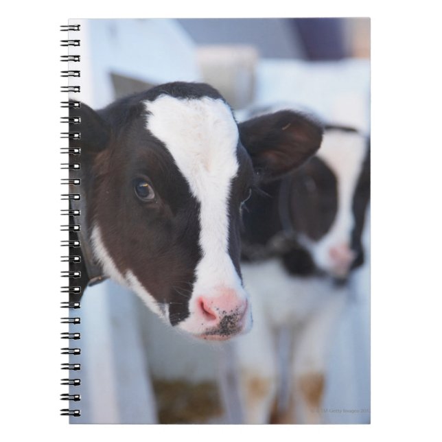 Cuaderno Retrato de vaca (Frente)