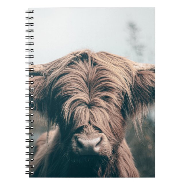 Cuaderno Retrato de vaca Highland (Frente)