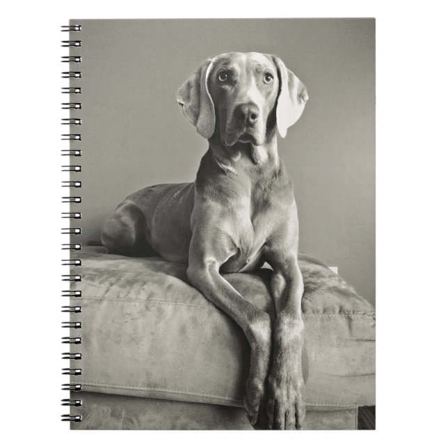 Cuaderno Retrato de Weimaraner (Frente)