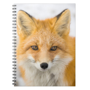 Cuaderno Retrato de zorro rojo