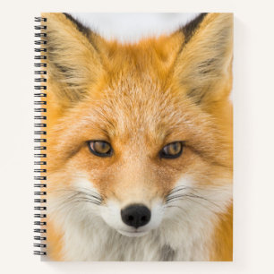 Cuaderno Retrato de zorro rojo