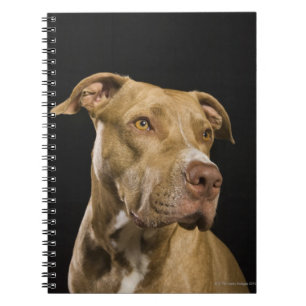 Cuaderno Retrato del pitbull rojo de la nariz con negro