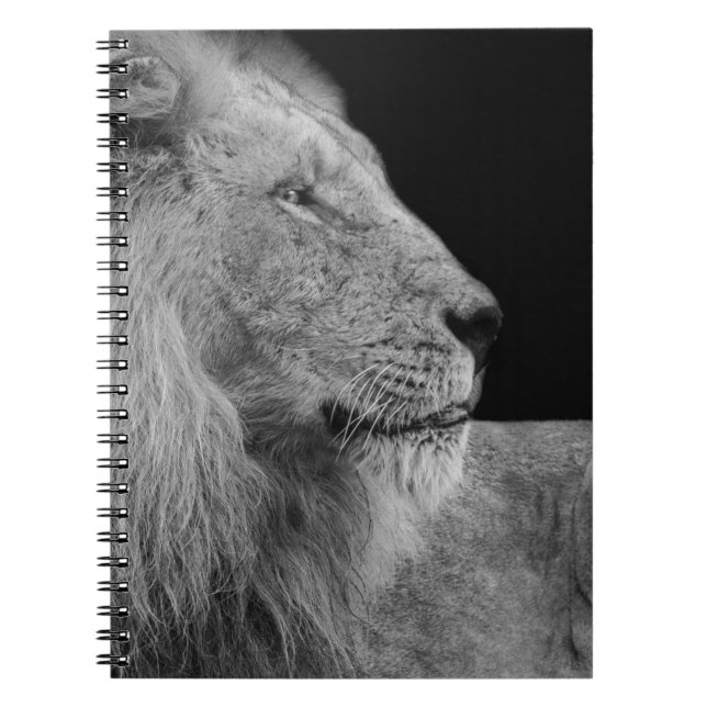 CUADERNO RETRATO DEL REY (Frente)