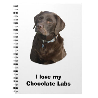 Cuaderno Retrato fotográfico de perro Labrador de chocolate
