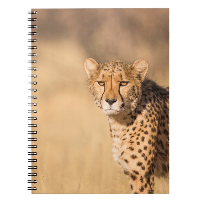CUADERNO RETRATO LEOPARD (Frente)