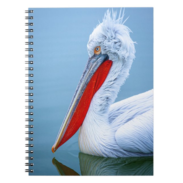 CUADERNO RETRATO PELICANO (Frente)