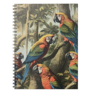 Cuaderno Revista de Naturalista de la Asamblea Aviar y Dose