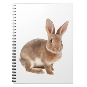 Cuaderno Rex rabbit