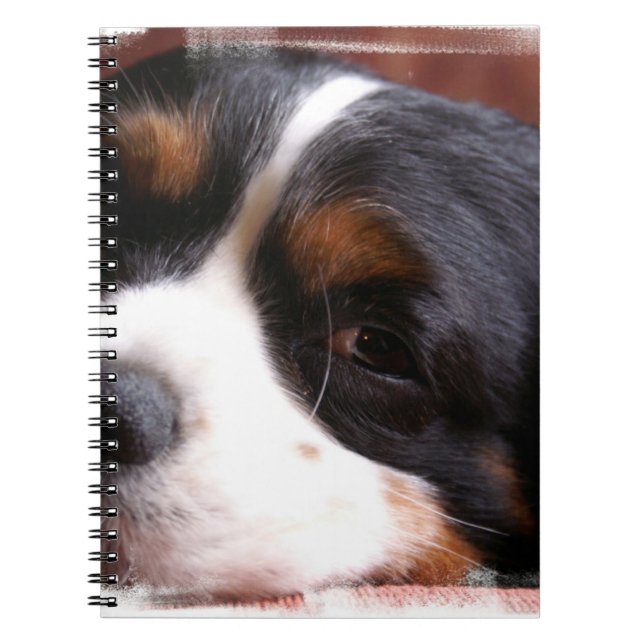 Cuaderno Rey Charles Cavalier Notebook (Frente)