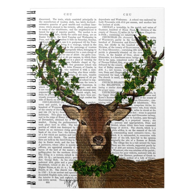 Cuaderno Rey Verde (Frente)