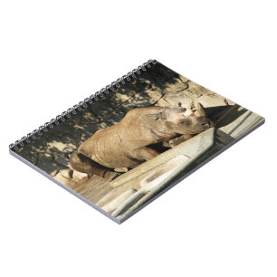 Cuaderno Rhino durmiente