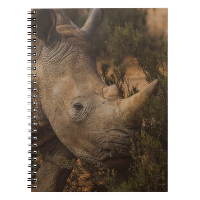 CUADERNO RHINO WILD ANIMALS (Frente)