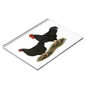 Cuaderno Rhode Island Red Bantams