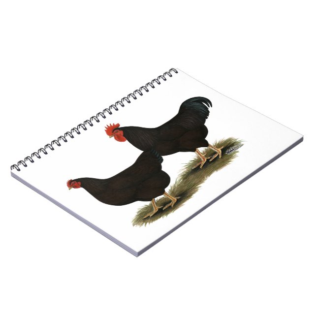 Cuaderno Rhode Island Red Bantams (Lado Izquierdo)