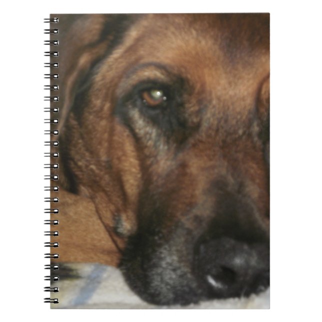 Cuaderno Rhodesian Ridgeback (Frente)