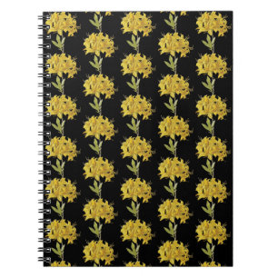 Cuaderno Rhododendron luteum (Azalea póntica)