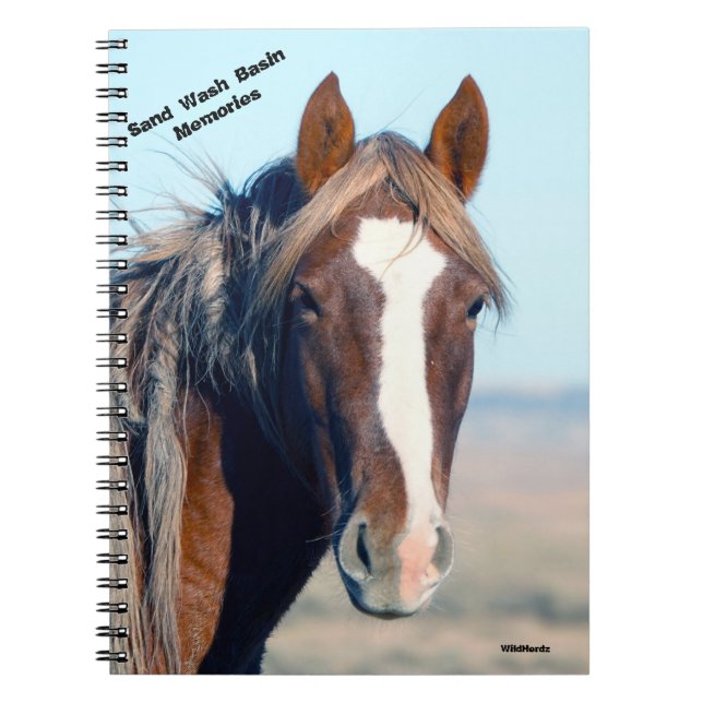 Cuaderno Ricochet de cuenca de lavado de arena (Frente)