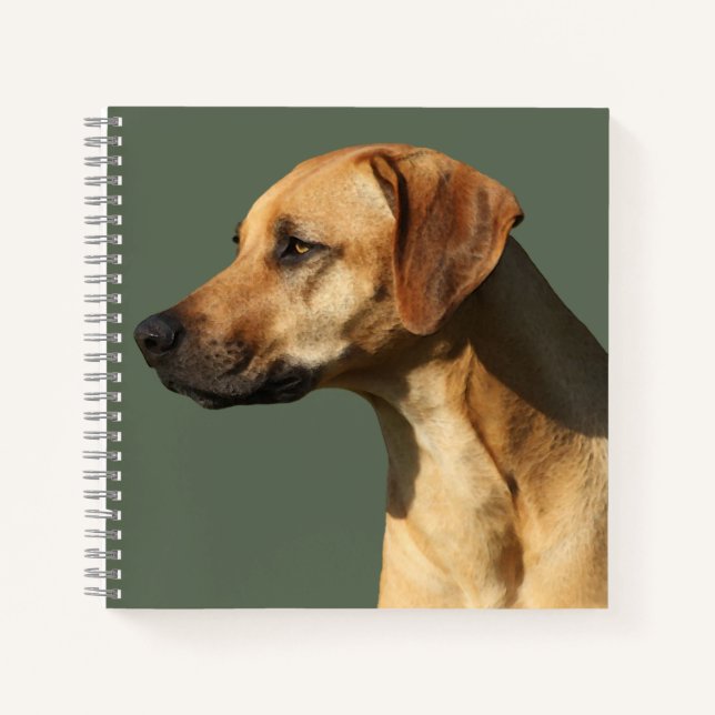 Cuaderno Ridgeback rodesiano (Anverso)