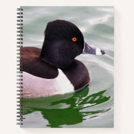 Cuaderno Ring Necked Duck