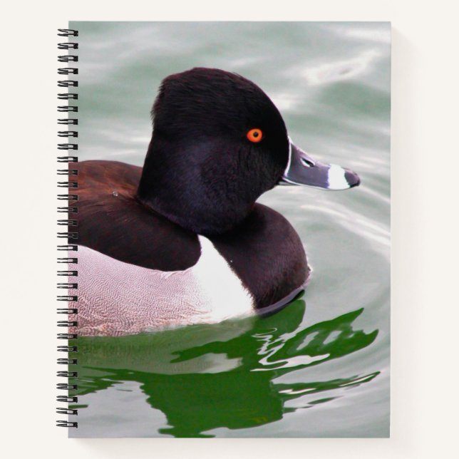 Cuaderno Ring Necked Duck (Anverso)