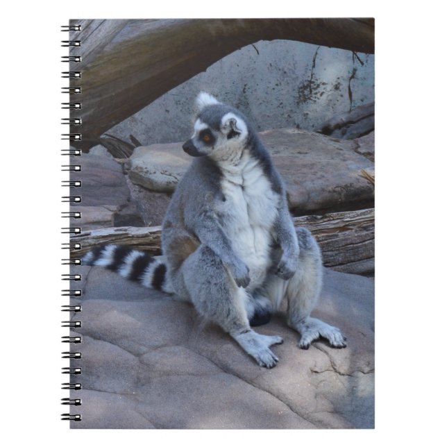 Cuaderno Ringtail Possum Foreman En El Trabajo, (Frente)