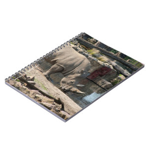Cuaderno Rinoceronte