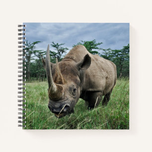 Cuaderno Rinoceronte negro Kenia