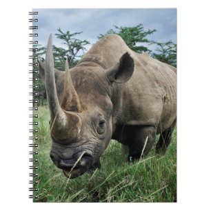 Cuaderno Rinoceronte negro Kenia