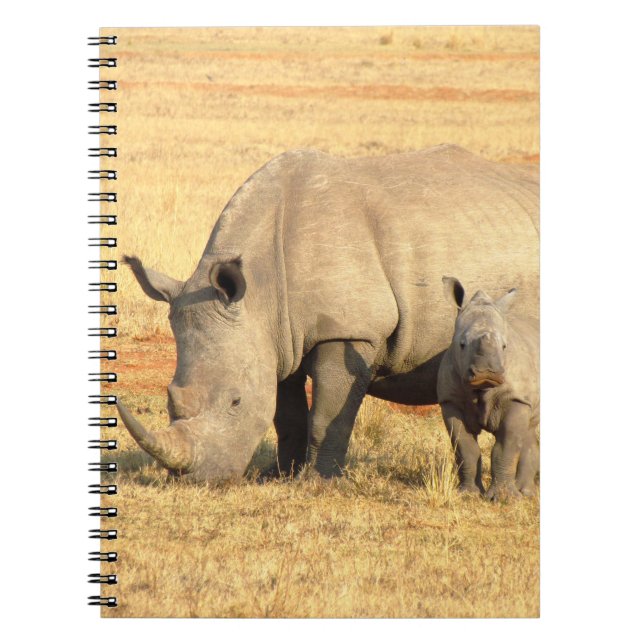 Cuaderno Rinocerontes cutáneos en áfrica (Frente)