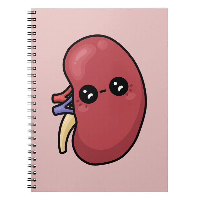 Cuaderno Riñon Cute - Biología Humana (Frente)