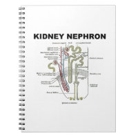 Riñon Nephron (libro de texto sobre anatomía de Gr