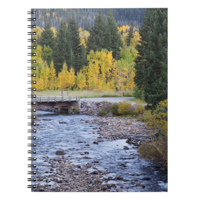 Cuaderno Río Provo y árboles de álamo temblón (Frente)