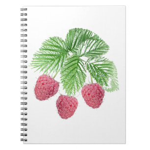 Cuaderno Ripe, bayas, frambuesas