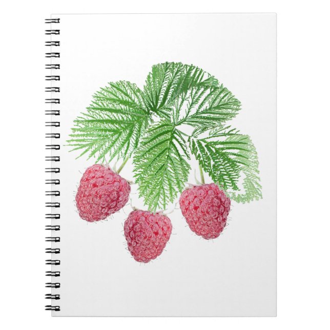 Cuaderno Ripe, bayas, frambuesas (Frente)