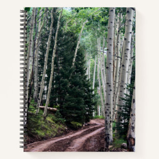 Cuaderno Road Through The Birch