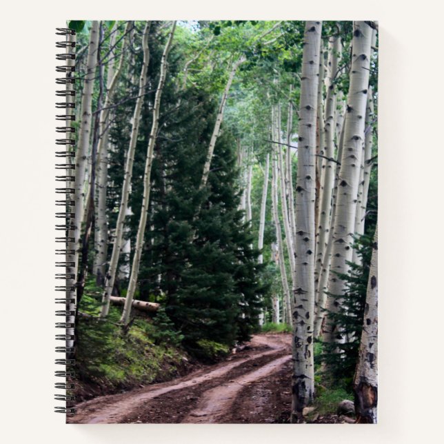 Cuaderno Road Through The Birch (Anverso)