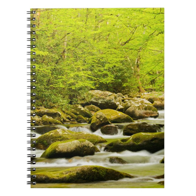 Cuaderno Roaring Fork en primavera (Frente)