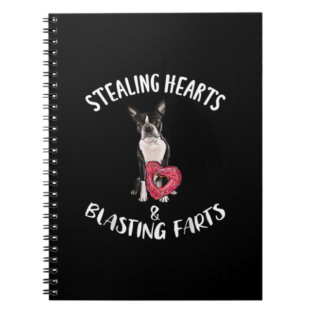 Cuaderno Robando corazones volando en los extremos de Bosto (Frente)