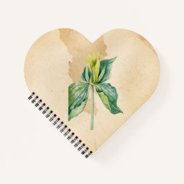 Cuaderno Robin de la mano dibujada