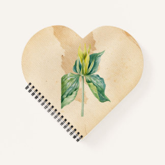 Cuaderno Robin de la mano dibujada