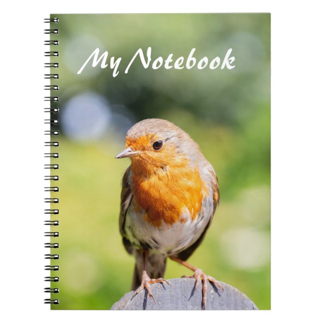 Cuaderno Robin de verano (Frente)