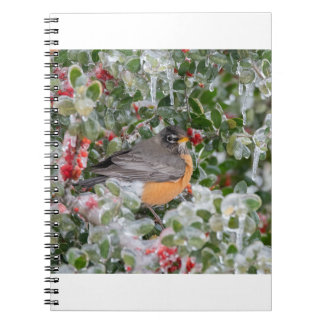 Cuaderno Robin en Navidades