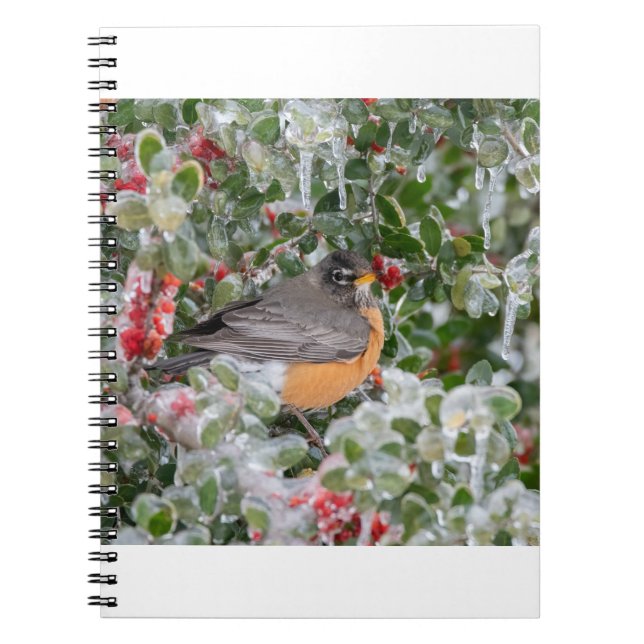 Cuaderno Robin en Navidades (Frente)